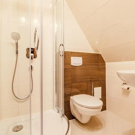 Dw Koscielec ザコパネ